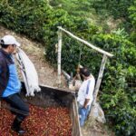 Coffee Tour In Concepcion de Ataco