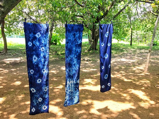 Three blue, tie-dyed fabrics hang on a clothesline between trees in a sun-dappled yard, showcasing the unique circular and spiral patterns of the dye.